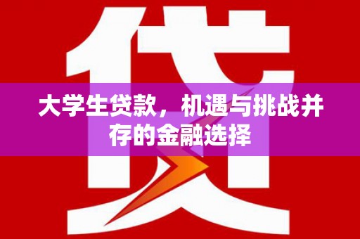 镇康大学生贷款，机遇与挑战并存的金融选择