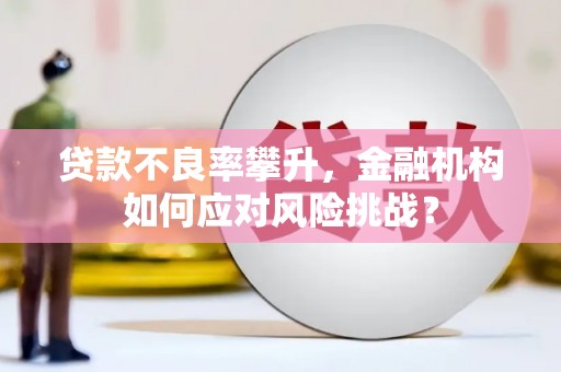 利通贷款不良率攀升，金融机构如何应对风险挑战？