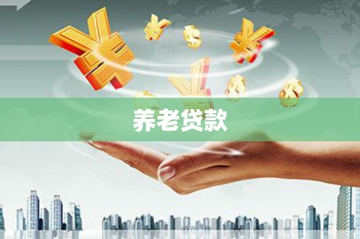 南港养老贷款