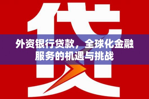 原阳外资银行贷款，全球化金融服务的机遇与挑战