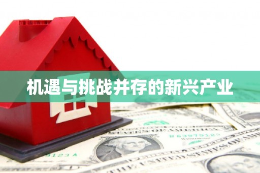 荷塘机遇与挑战并存的新兴产业