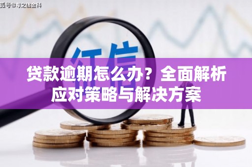 德宏贷款逾期怎么办？全面解析应对策略与解决方案