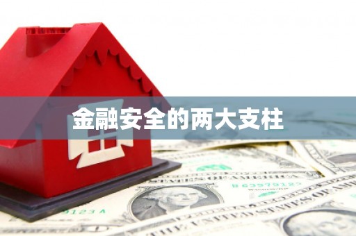 江源金融安全的两大支柱
