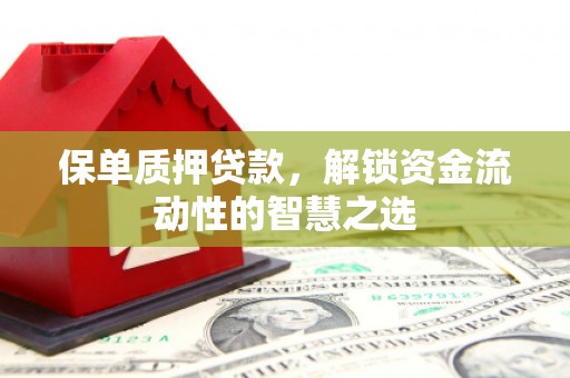 郸城保单质押贷款，解锁资金流动性的智慧之选